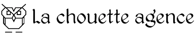 Lyon web design logo agence web meilleure agence